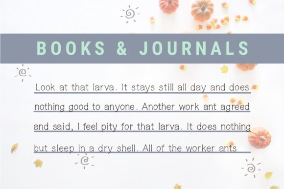 Charlotte Font - Preview 3