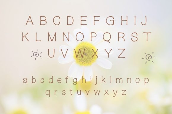 Charlotte Font - Preview 4