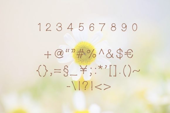 Charlotte Font - Preview 5