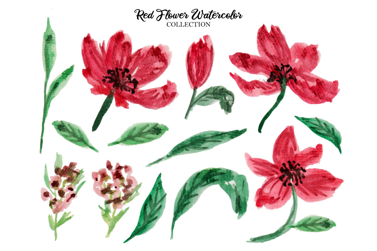 Red Flower Watrecolor