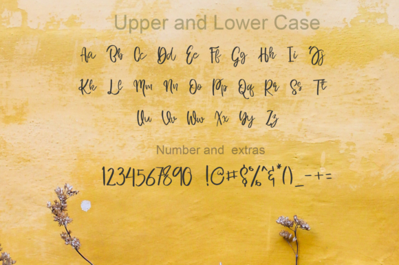 Bergamo in Love Font PNG with transparent background - Preview 2