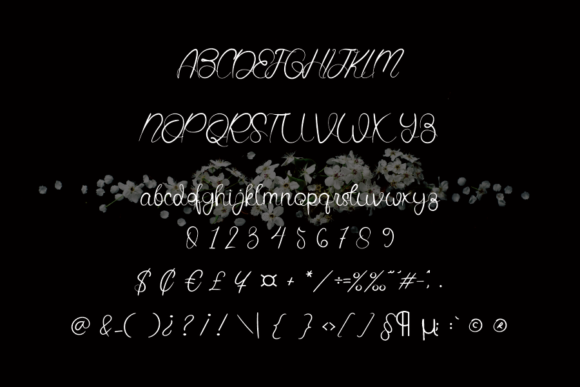 Briliant Signature Font - Preview 1