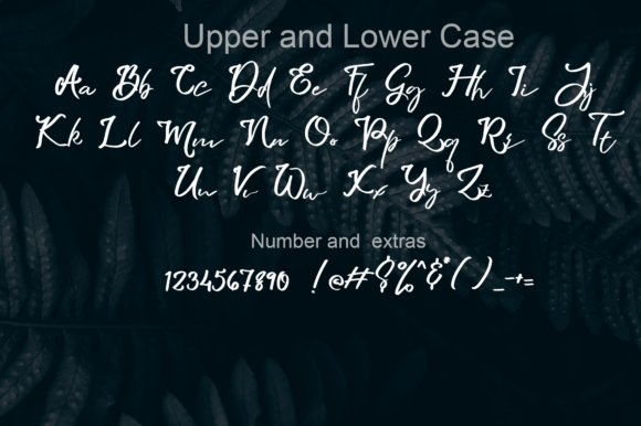 Bunton Island Font - Preview 4