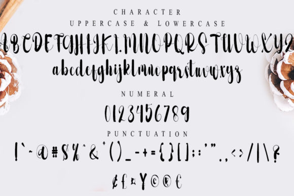 Fashions Font - Preview 4