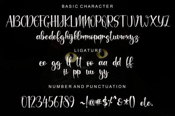 Black Catthie Font - Preview 5