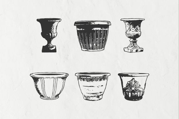Flower Pot Vintage Illustration Vector Afbeelding Afdrukbare Illustraties Door Raw Materials Design