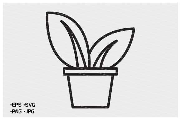 best indoor plant fertilizer Best Houseplant Fertilizer