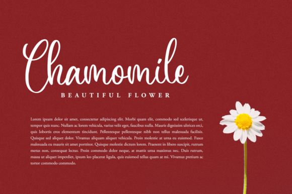 Aringtone Font - Preview 5
