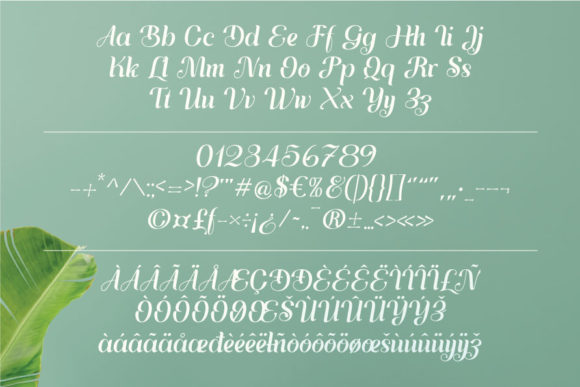 Ayulia Molga Font - Preview 6