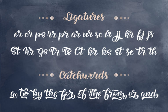 Anarion Script Font - Preview 3