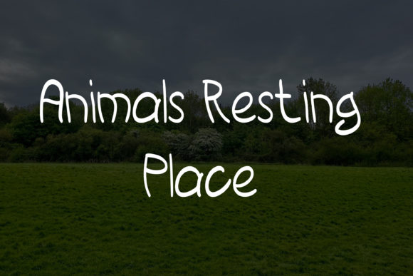 Grass Field Font - Preview 1