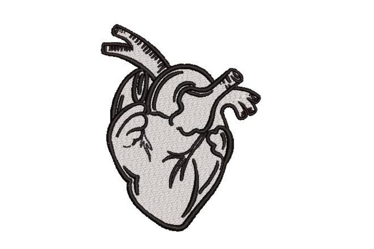 Human Heart Line Art