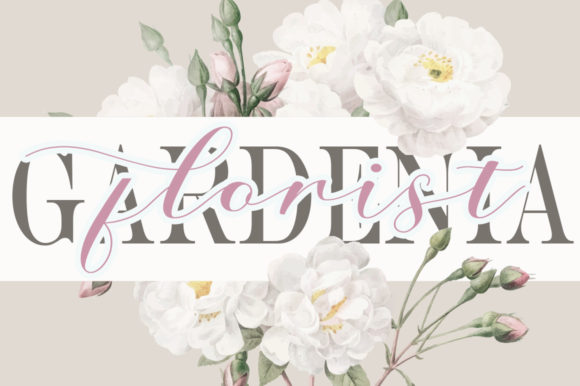 Amanda Font - Preview 1