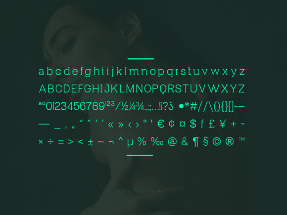 Bran Ston Font - Preview 2