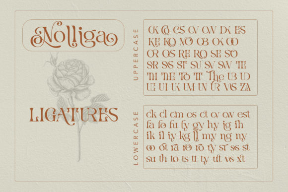 Nolliga Font PNG with transparent background - Preview 3