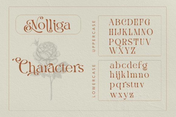 Nolliga Font PNG with transparent background - Preview 6
