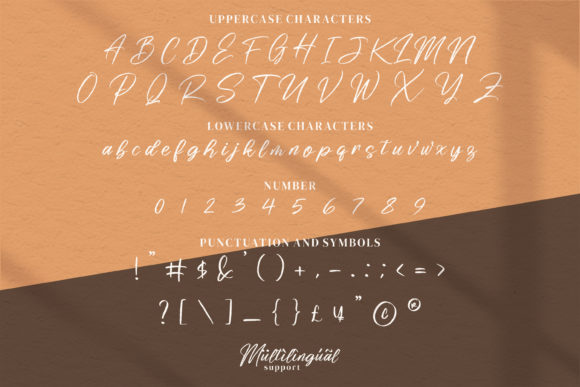 Risess Singature Font PNG with transparent background - Preview 4