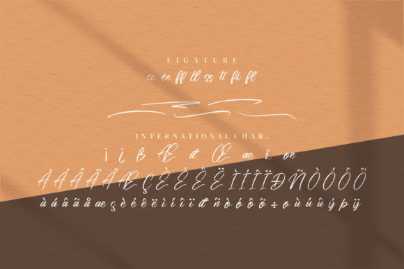 Risess Singature Font PNG with transparent background - Preview 5