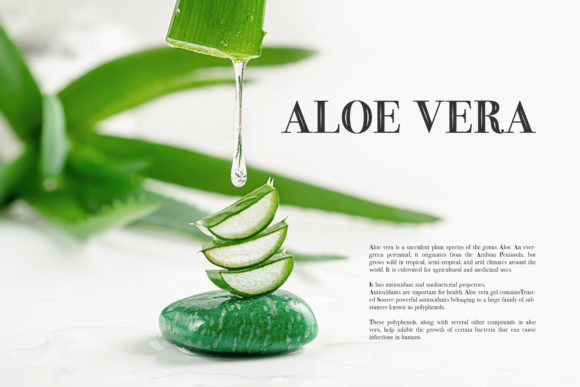 Limoges Font font preview - 1