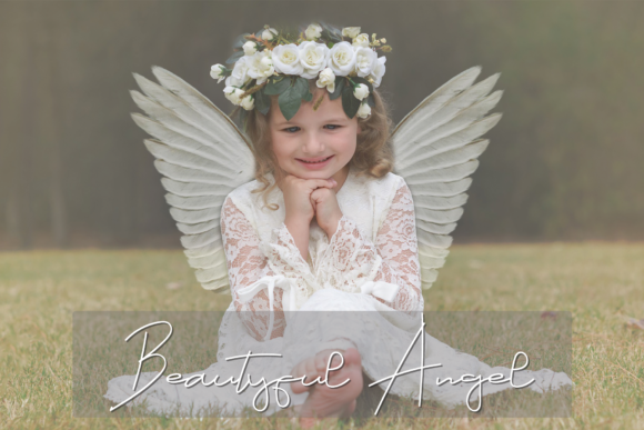 Angel Signature Font - Preview 2