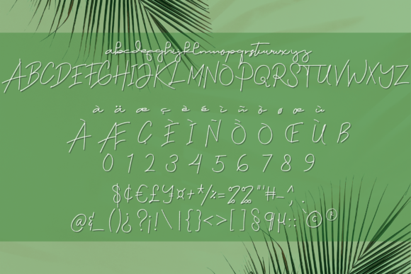 Angel Signature Font - Preview 4