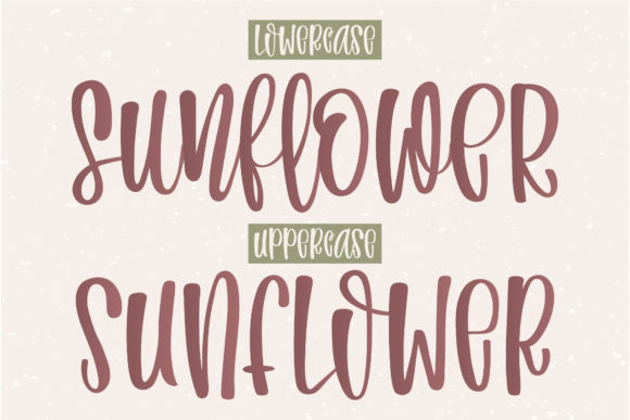 Bohemian Wedding Font PNG with transparent background - Preview 2