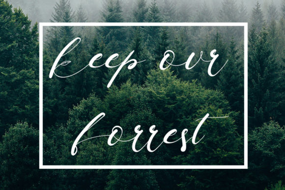 Botanikal Font - Preview 2