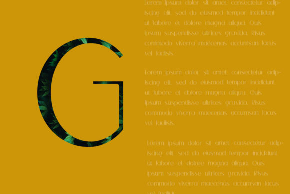 Gauge Font - Preview 4