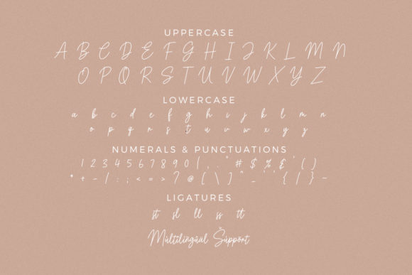 Bastony Signature Font - Preview 5