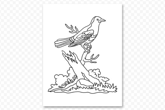 Bird Coloring Page Drawing Illustration