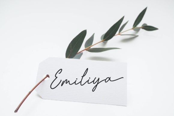 Emiliya Font - Preview 3