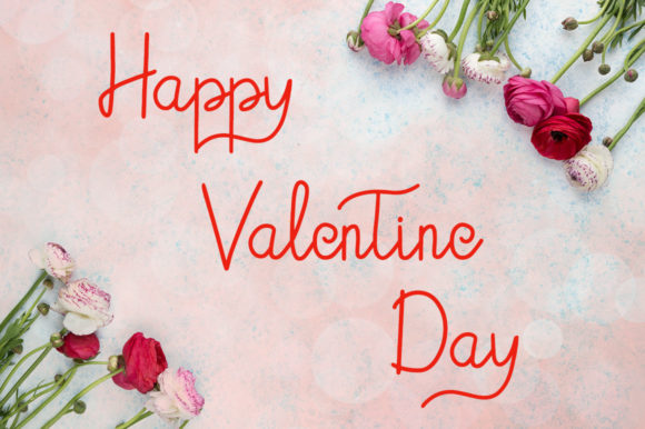 Enbellove Font PNG with transparent background - Preview 3