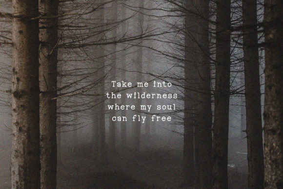 Into the Wild Font PNG with transparent background - Preview 1