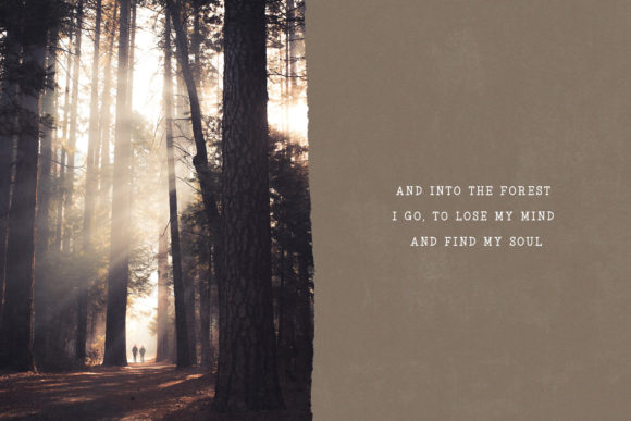 Into the Wild Font PNG with transparent background - Preview 3