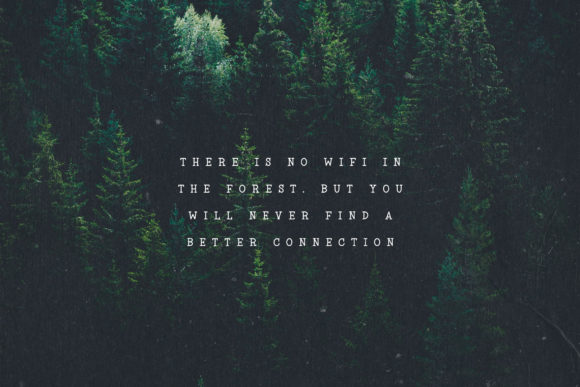 Into the Wild Font PNG with transparent background - Preview 5