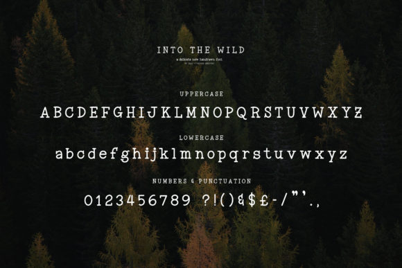 Into the Wild Font PNG with transparent background - Preview 6