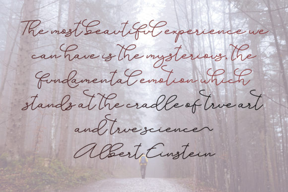 Angelista Font - Preview 1