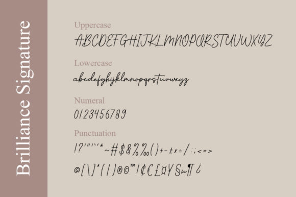Brilliance Signature Font - Preview 5