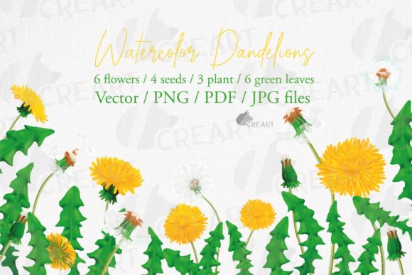 Dandelion Watercolor Elements, Blowballs