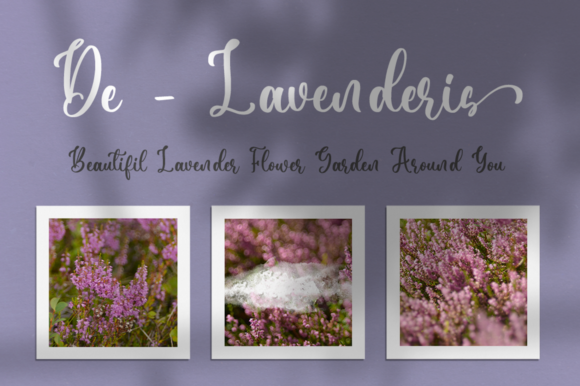 Daniella Font PNG with transparent background - Preview 5