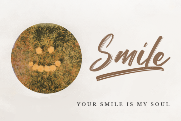 Finesolla Font - Preview 5