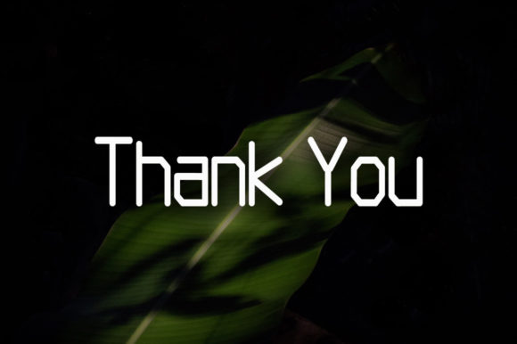 Banana Leaf Font - Preview 3