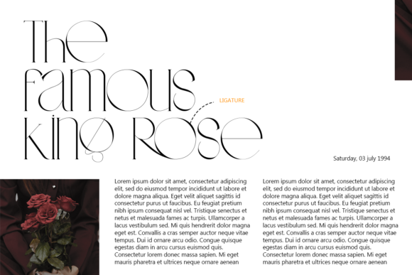 Cheyra Font PNG with transparent background - Preview 3