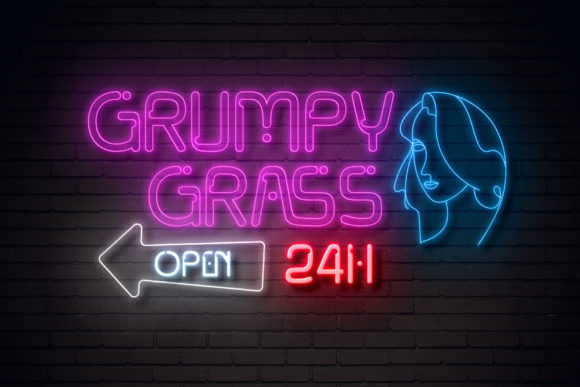 Front Light Font - Preview 1