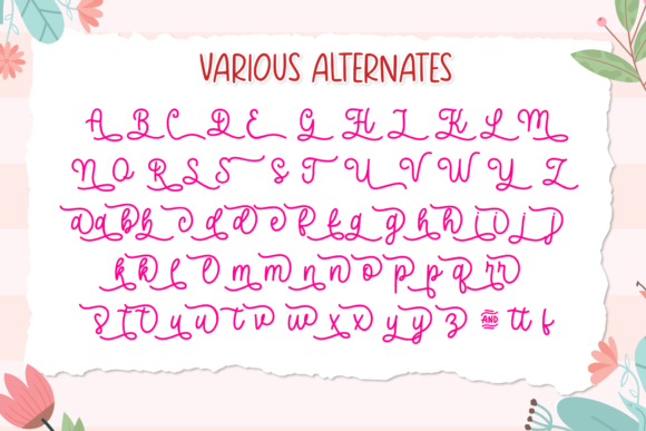 Happiness is Homemade Font - Preview 5