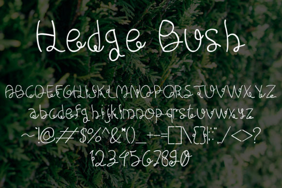 Hedge Bush Font - Preview 4