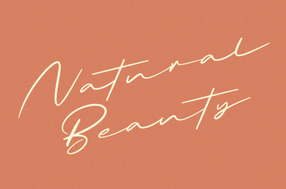 Briquete Font - Preview 3