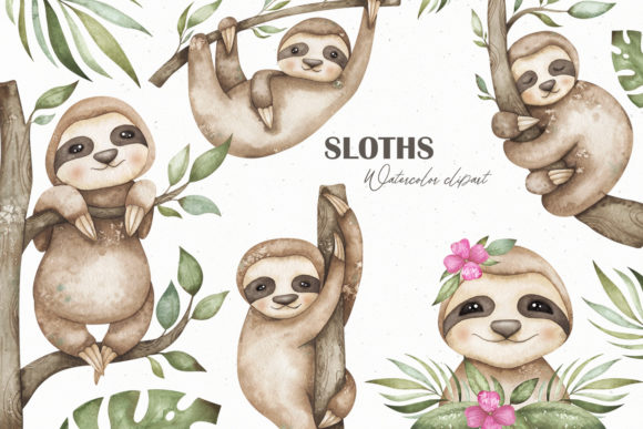 Watercolor Sloths Clipart Graphic Illustrations By Orange Peafowl Art