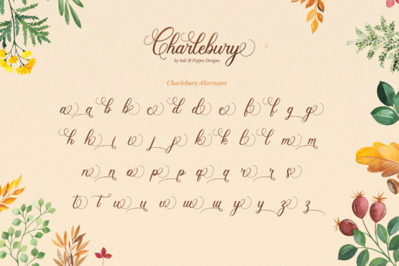 Charlbury Script Font - Preview 5