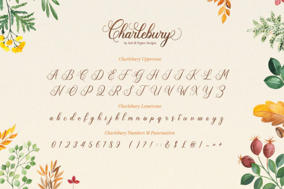Charlbury Script Font - Preview 6